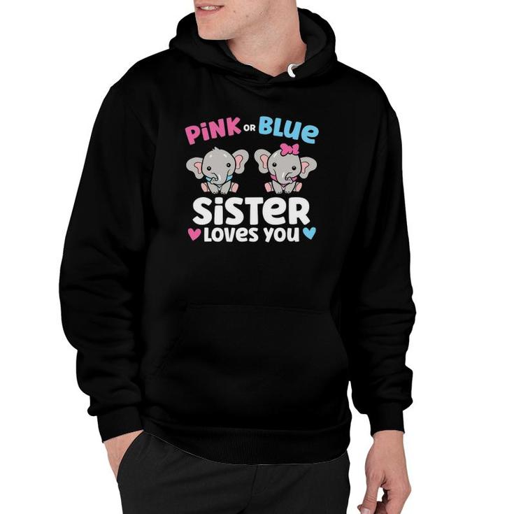 Pink Or Blue Sister Loves You Funny Gender Reveal Hoodie