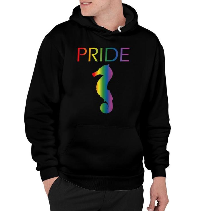 Rainbow Seahorse Pride Gay Pride Lgbtq Gay Seahorse Raglan Baseball Tee Hoodie