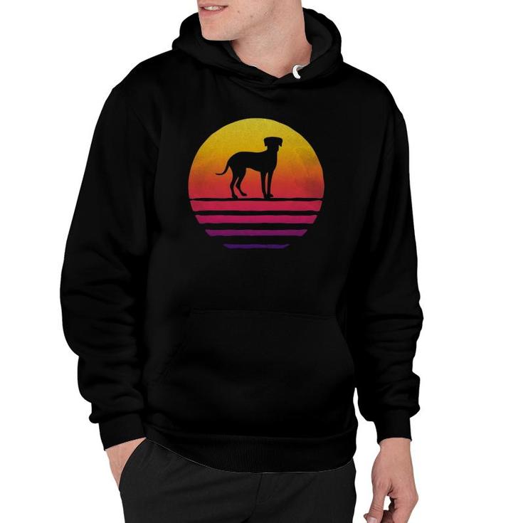 Retro Vintage Sunset Catahoula Leopard Dog Silhouette Gift Hoodie