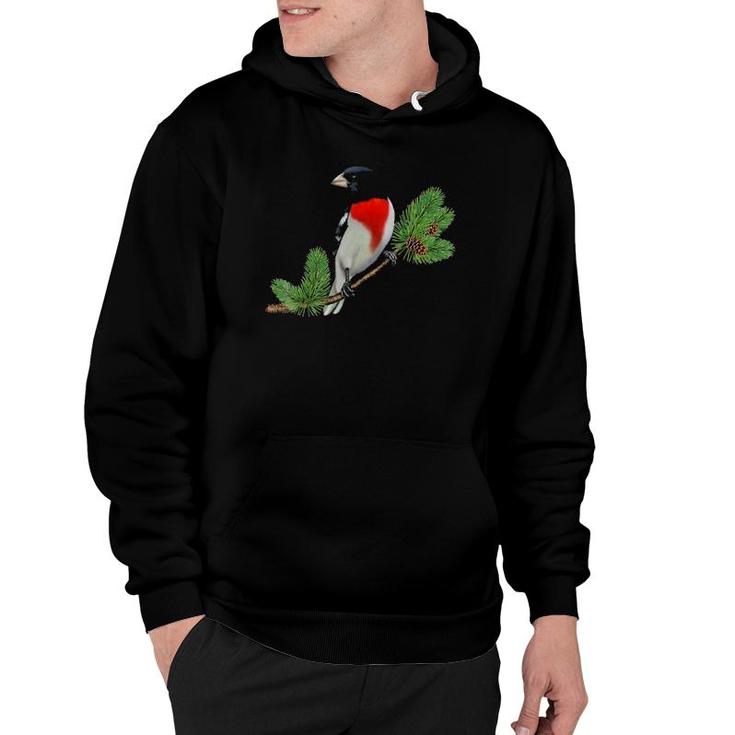 Rose-Breasted Grosbeak On Branch Birder & Bird Lover Gift Hoodie