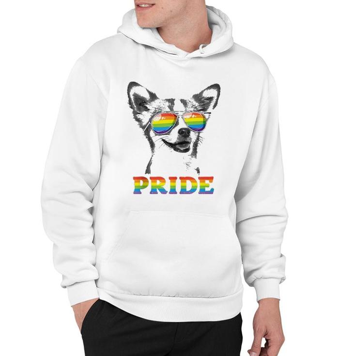 Chihuahua Gay Pride Lgbt Rainbow Flag Sunglasses Funny Lgbtq  Hoodie