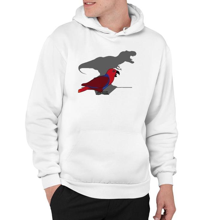 Funny Parrot Owner, Birb Memes,Rex Female Eclectus Hoodie