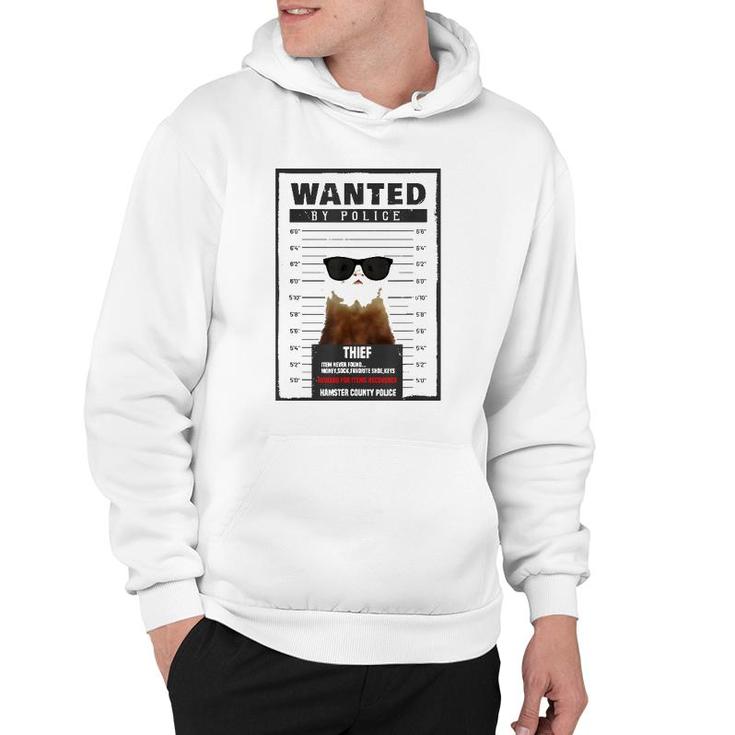 Hilarious Ferret Vintage Pet Gifts For Ferret Dad Mom Animal Hoodie