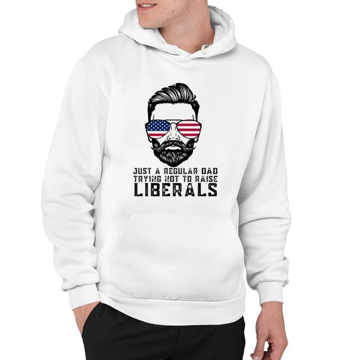 Just A Regular Dad Trying Not To Raise Liberals Father's Day Hoodie