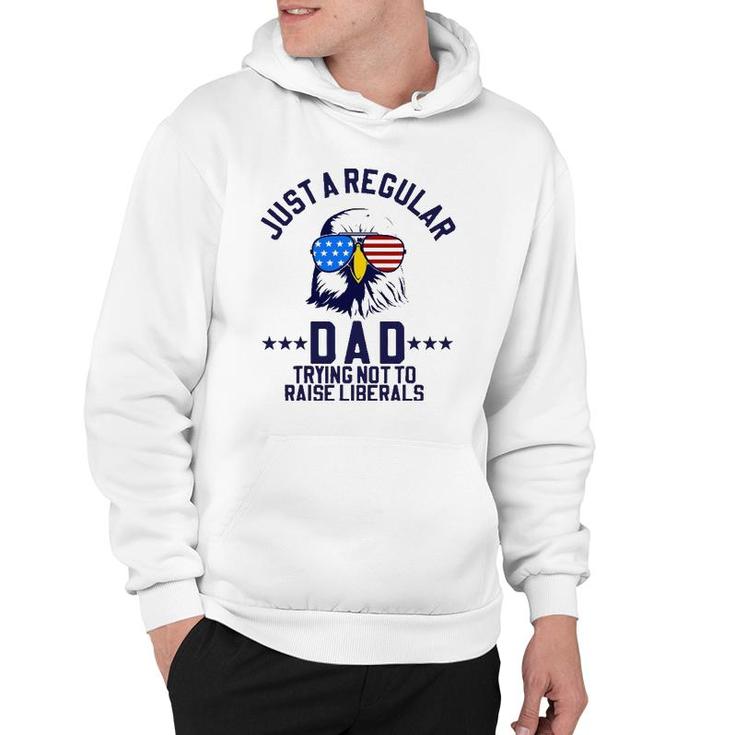 Just A Regular Dad Trying Not To Raise Liberals Funny Gift Hoodie