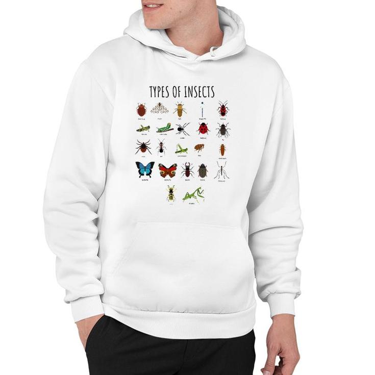Kids Types Of Insects Bug Identification Science Tee Hoodie