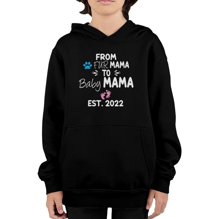 From Fur Mama To Baby Mama Est 2022 Funny New Mom Dog Lover Youth Hoodie