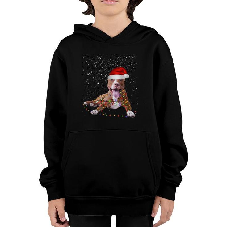 Funny Merry Pitmas Pit Bull T Christmas Dog Gift Youth Hoodie