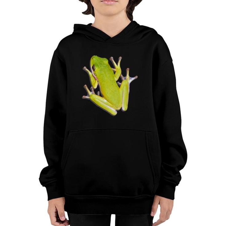 Green Tree Frog Lover Gift Youth Hoodie