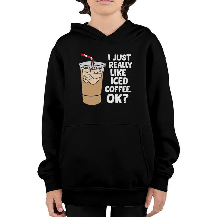 I Just Really Like Iced Coffee Okay Funny Iced Coffee Youth Hoodie