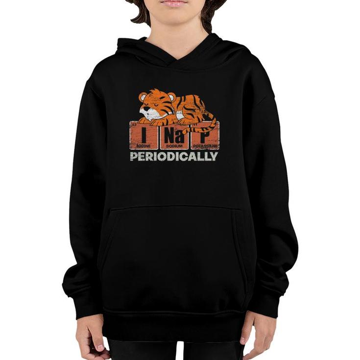 I Nap Periodically Cute Animal Napping Funny Sleeping Tiger Youth Hoodie