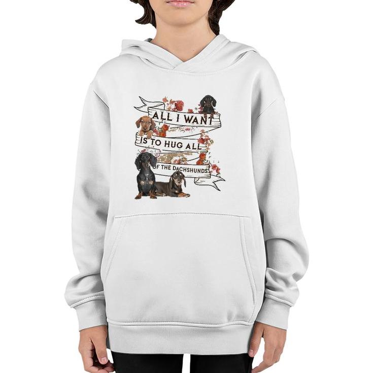 Dachshund Doxie Dachshund All I Want To Hug All Of The Dachshunds Dog Lovers Youth Hoodie