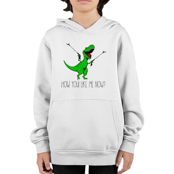How You Like Me Now T Rex Green Dinosaur Funny Youth Hoodie