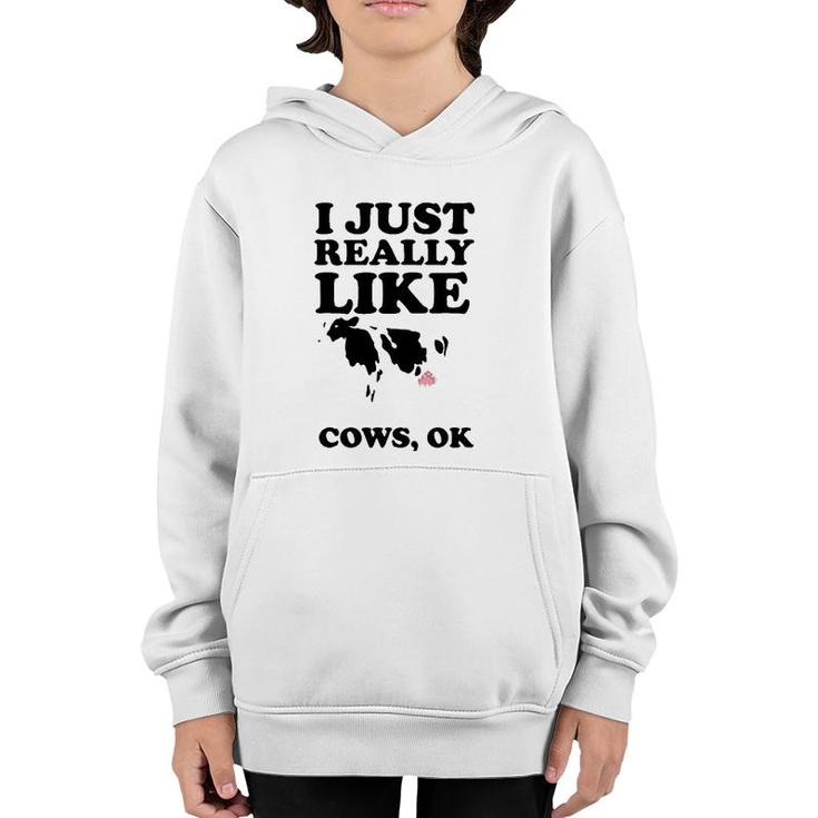 I Just Really Like Cows Ok  Cool I Heart Cows Gift Youth Hoodie