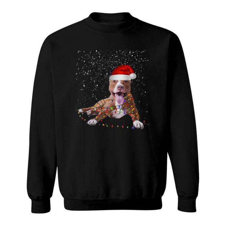 Funny Merry Pitmas Pit Bull T Christmas Dog Gift Sweatshirt