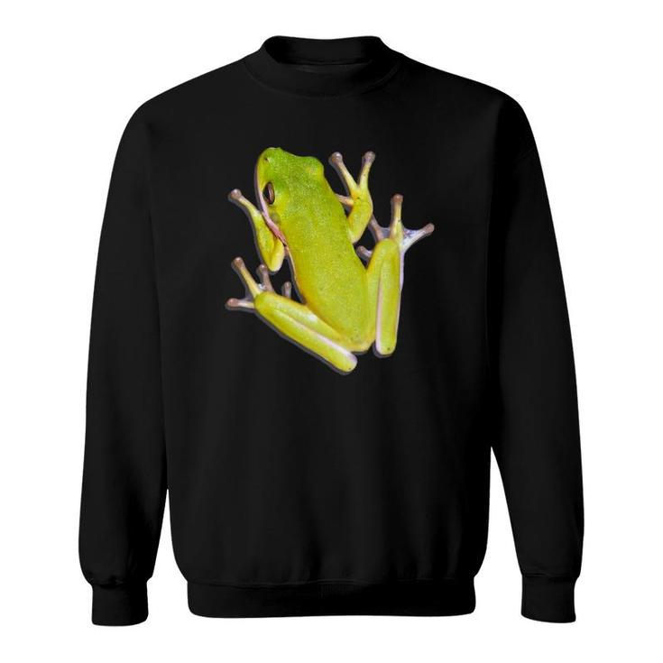 Green Tree Frog Lover Gift Sweatshirt