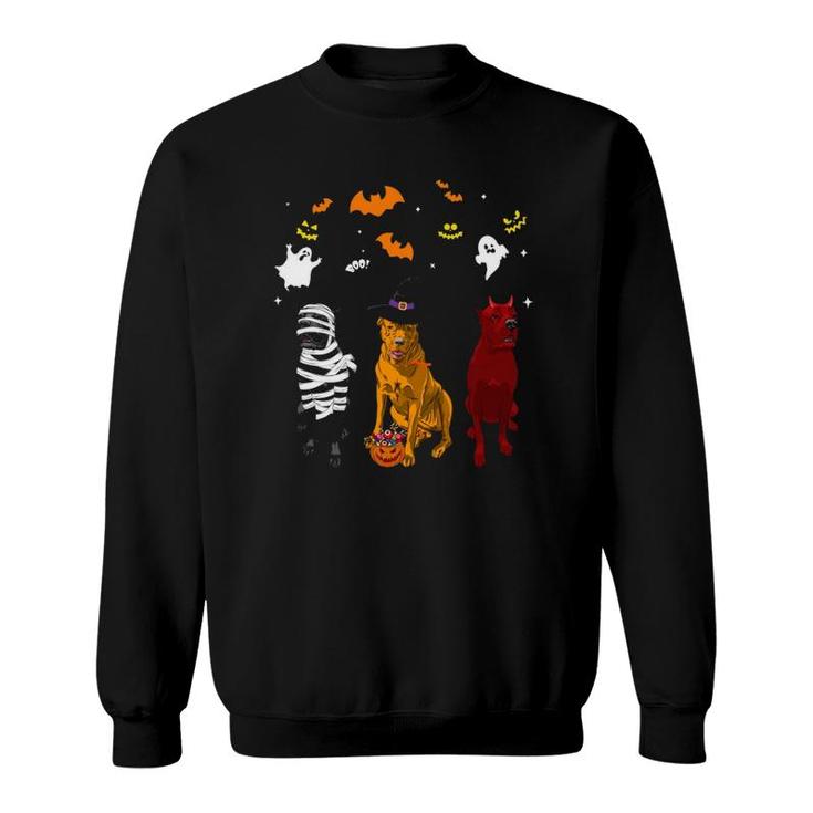 Halloween Cane Corso Dogs Lovers Mummy Witch Demon Costumes Sweatshirt