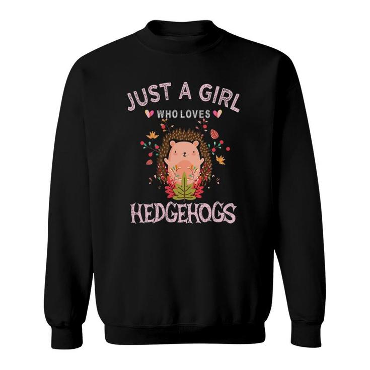 Hedgehog Lover Women Gift Just A Girl Who Loves Hedgehogs Sweatshirt