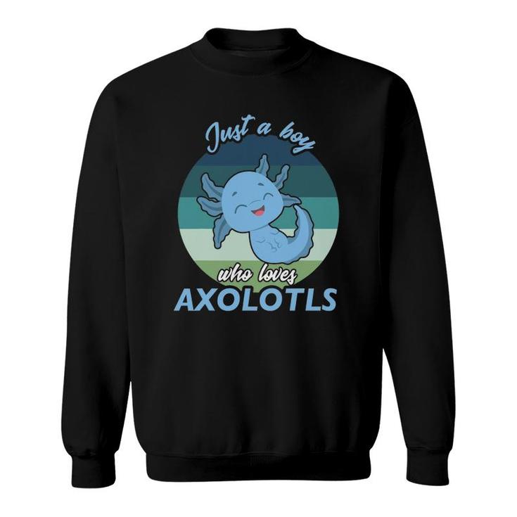 Just A Boy Who Loves Axolotl Sweatshirt