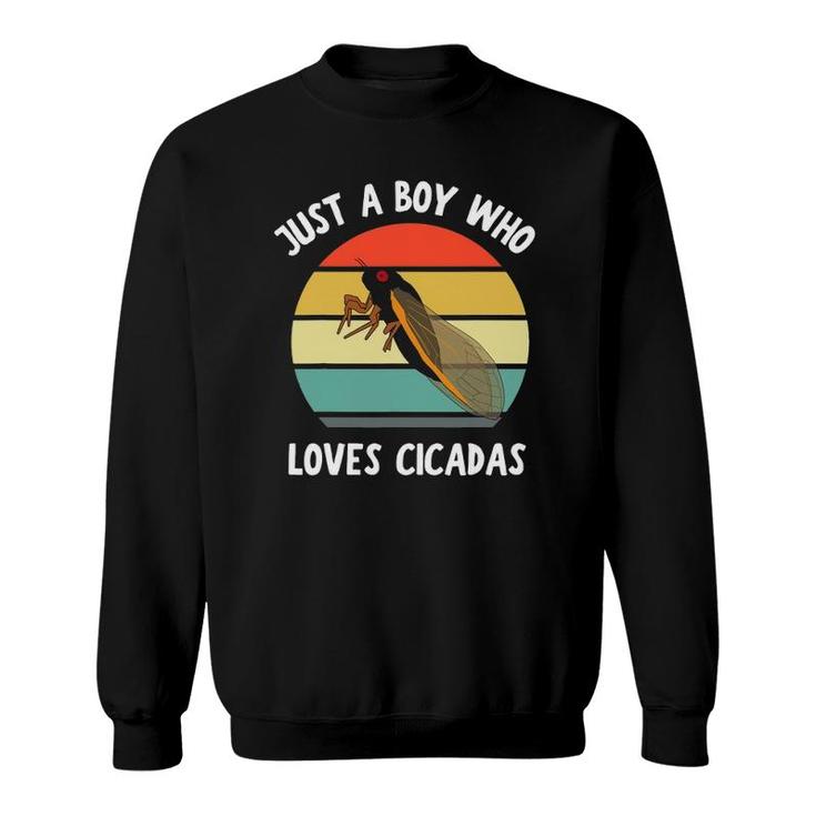 Just A Boy Who Loves Cicadas Future Entomologist Kids Boys Sweatshirt