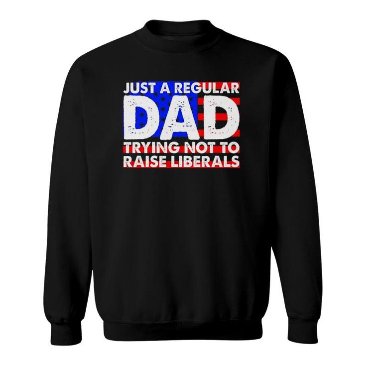 Just A Regular Dad Trying Not To Raise Liberals America Flag Sweatshirt