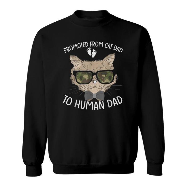 Promoted From Cat Dad To Human Dad Pregnancy Announcement Sweatshirt