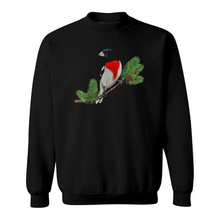 Rose-Breasted Grosbeak On Branch Birder & Bird Lover Gift Sweatshirt