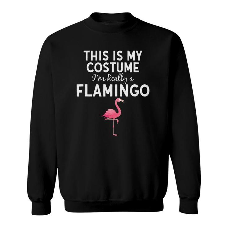 This Is My Costume I'm A Flamingo Halloween Costume Funny Sweatshirt