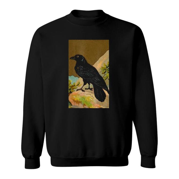 Vintage Raven , Birdwatching Black Bird Sweatshirt