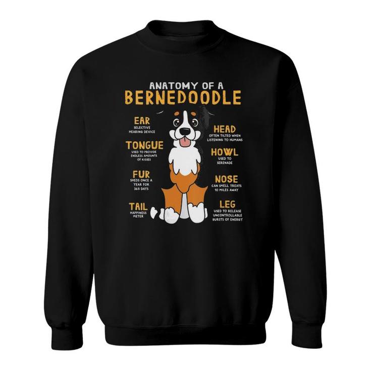 Womens Bernedoodle Anatomy Funny Dog Mom Dad Cute Gift V-Neck Sweatshirt