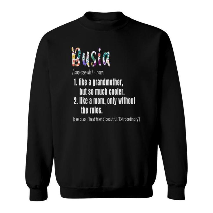 Womens Busia Definition Mother's Day & Birthday Gift Grandmother V-Neck Sweatshirt