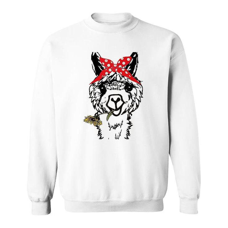 Alpaca Llama Animal Graphics Funny Sweatshirt