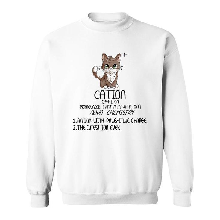Cation Definition Sweatshirt