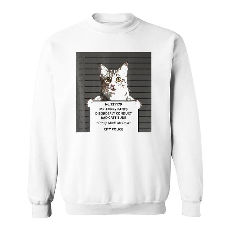 Catnip Cat Bad Cattitude Funny Cat Lover Kitten Gift Sweatshirt