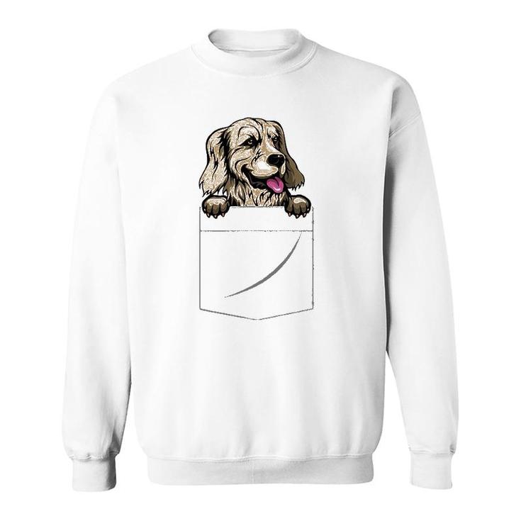 Golden Retriever In A Pocket Sweatshirt