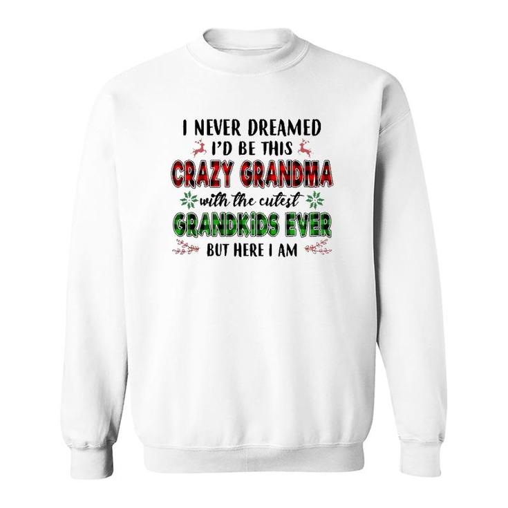 I Never Dreamed I'd Be This Crazy Grandma With The Cutest  Sweatshirt