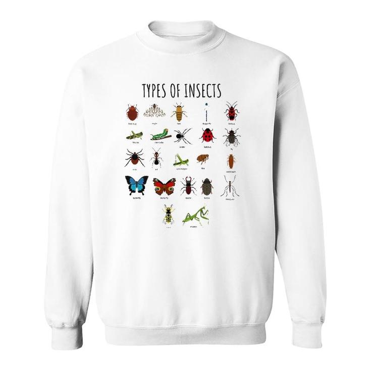 Kids Types Of Insects Bug Identification Science Tee Sweatshirt