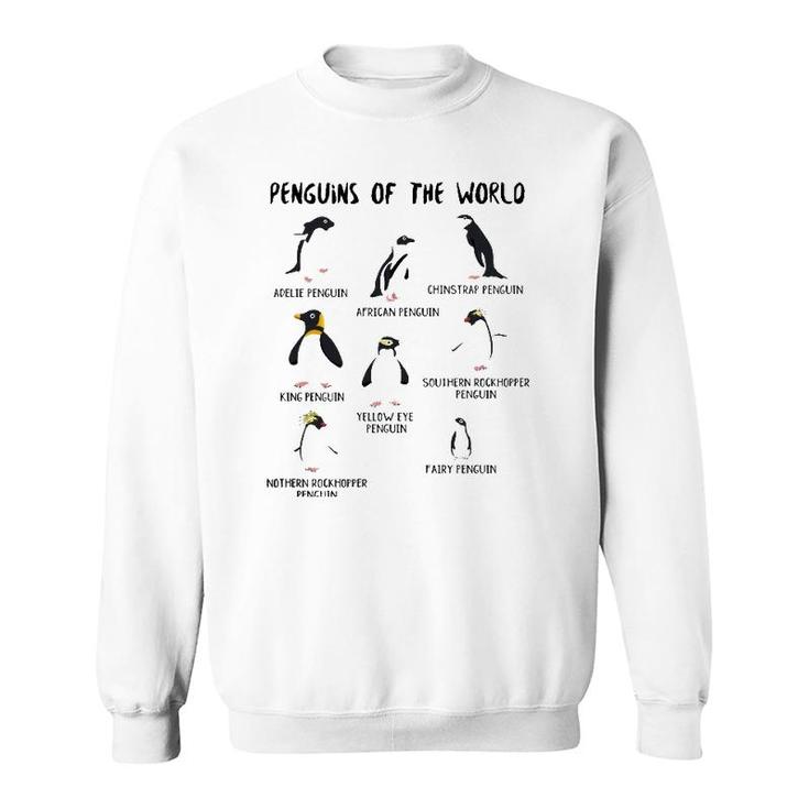 Kids Youth Boys Penguin Themed Gifts Types Of Penguins Sweatshirt