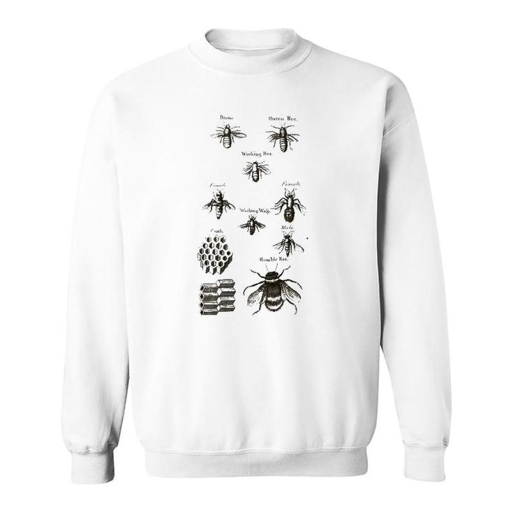 Retro Beekeeper Vintage Bees Bumblebees Honeycomb Gift Sweatshirt