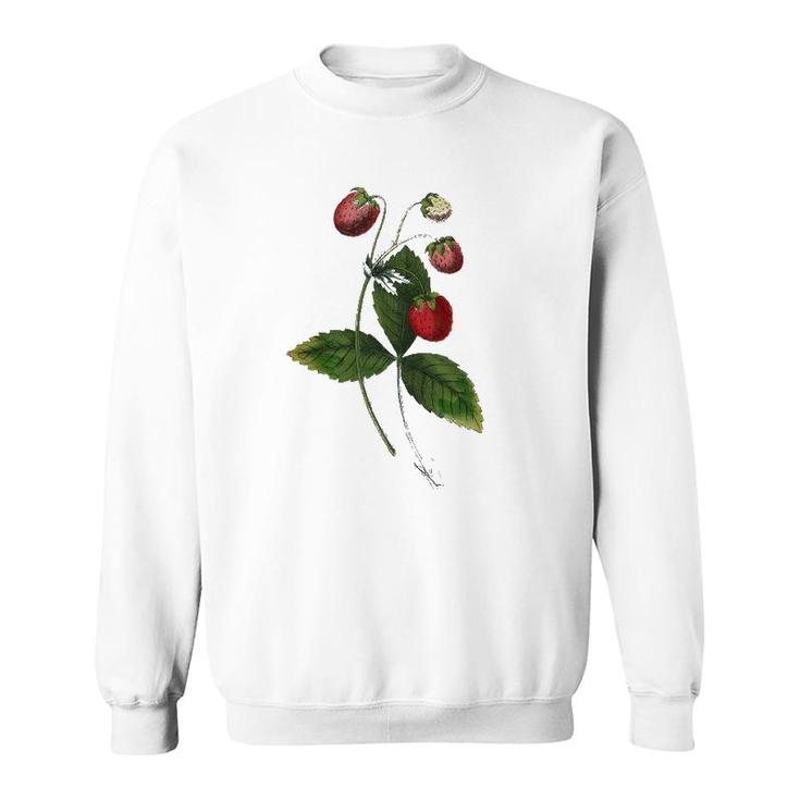 Strawberry Plant Patch Fruit Lover Gift Sweatshirt