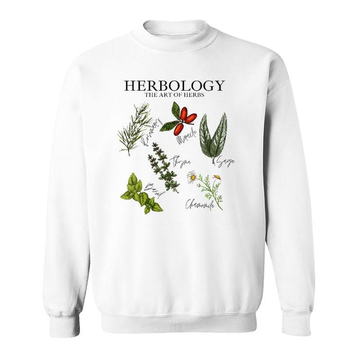 Womens Herbology The Art Of Herbs Thyme Rosemary Basil Chamomile V-Neck Sweatshirt