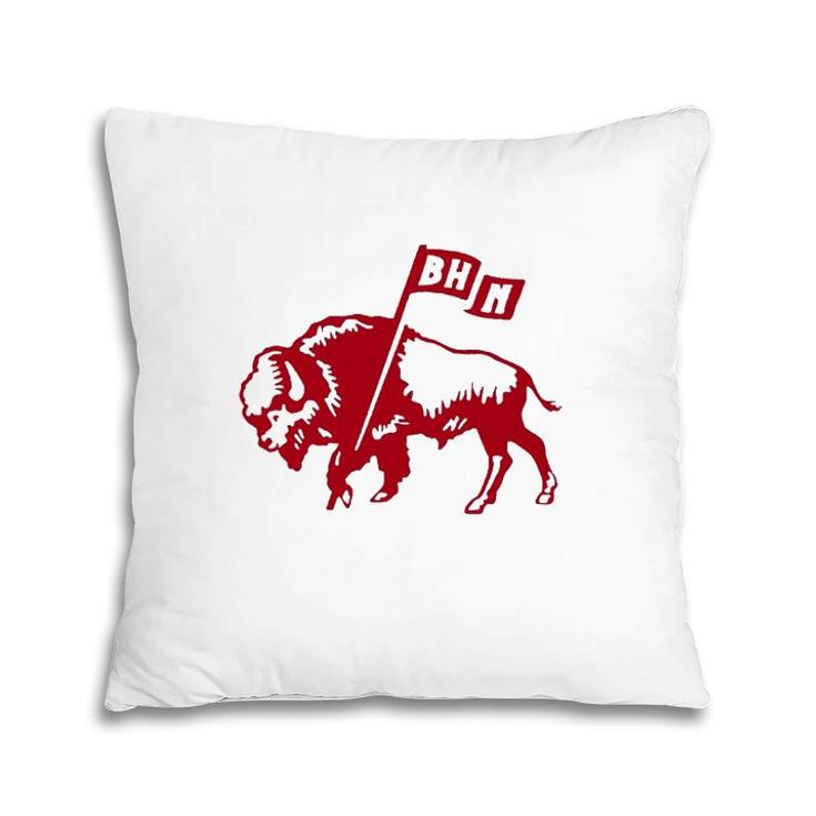 Back Home Network Home Coin Pillow