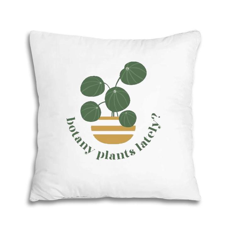 Cute Pilea Paperomiodes House Plant Botany Plants Lately Pillow