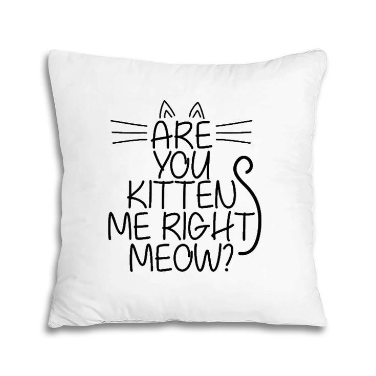 Sweet Cat Are You Kitten Me Right Meow Gift Pillow