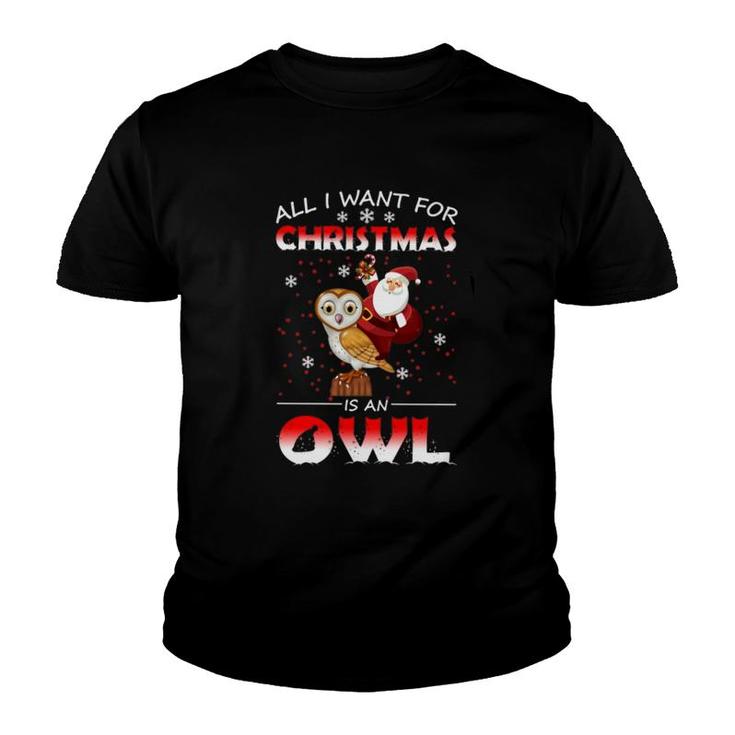 All I Want For Christmas Is An Owl Youth T-shirt
