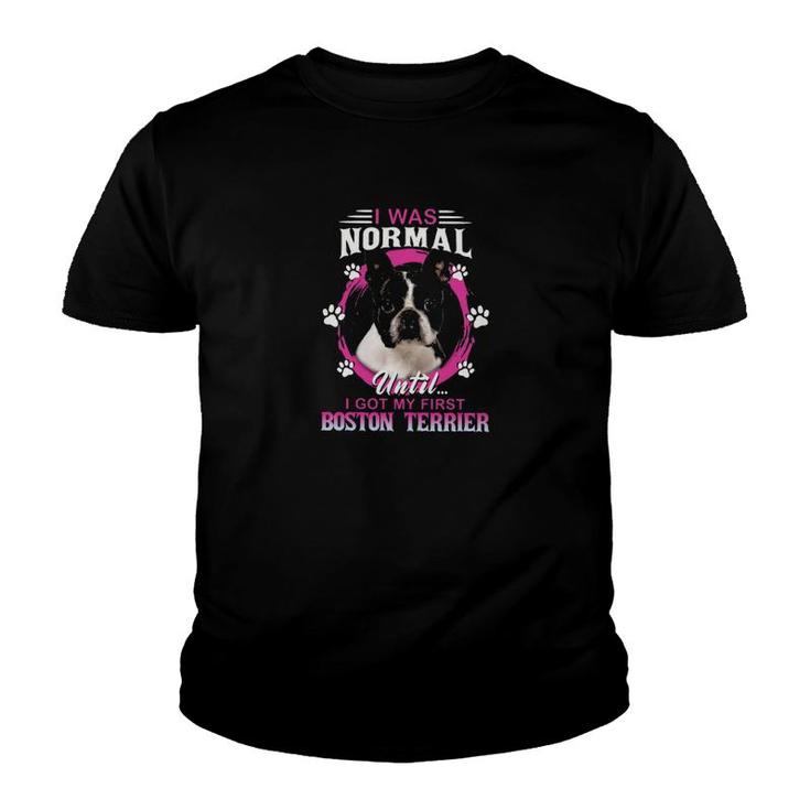 Boston Terrier I Was Normal Youth T-shirt