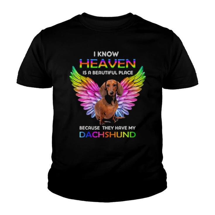 Dog I Know Heaven Is A Beautiful Place Because They Have My Dachshund 647 Paws Youth T-shirt