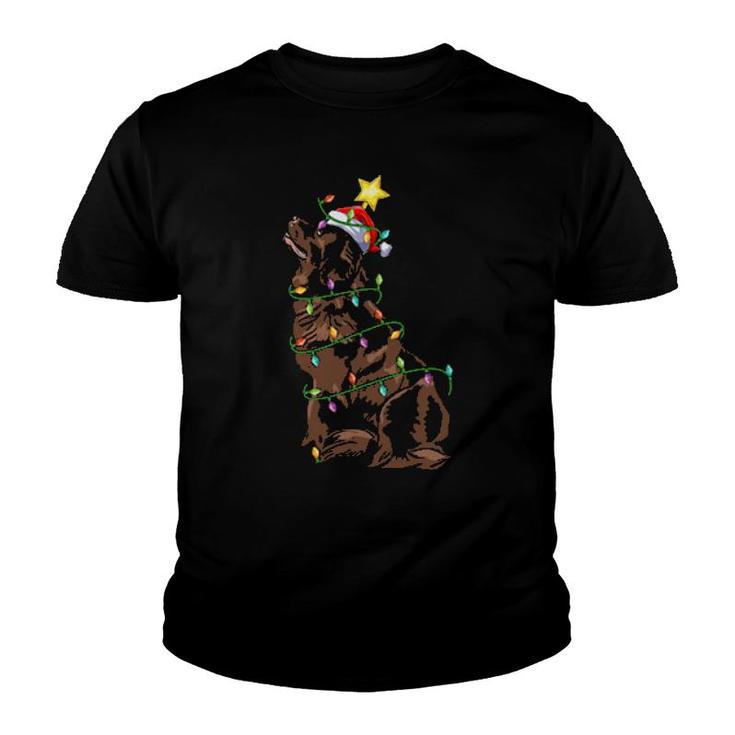 Lighting Xmas Tree Matching Santa Newfoundland Dog Christmas Youth T-shirt