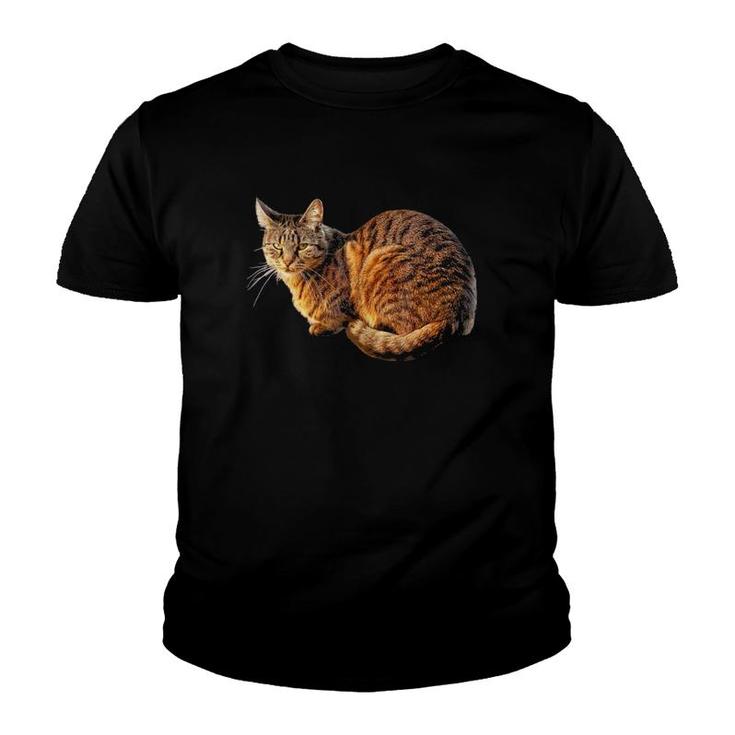 Orange Tabby Cat Tee Youth T-shirt