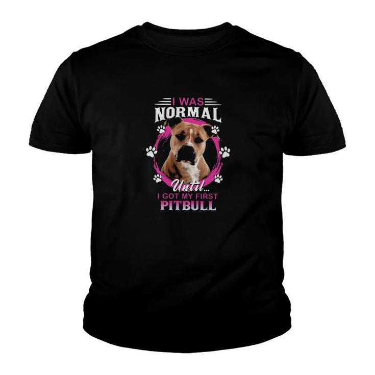 Pitbull I Was Normal Youth T-shirt